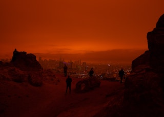 Dystopian Reality